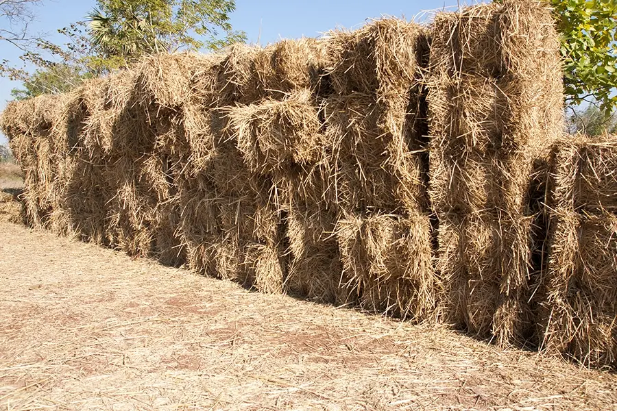 stack of straw bales