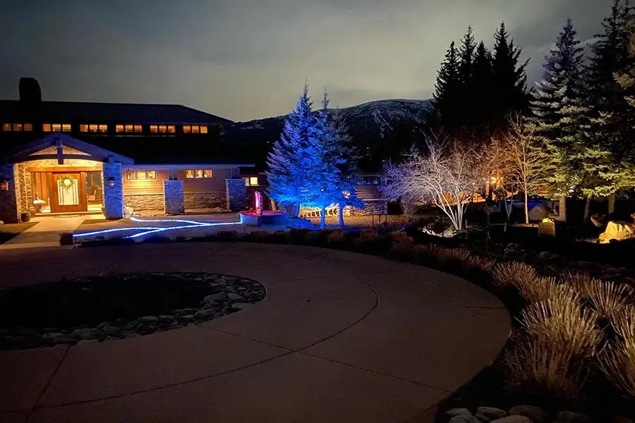 landscape design along the driveway at night