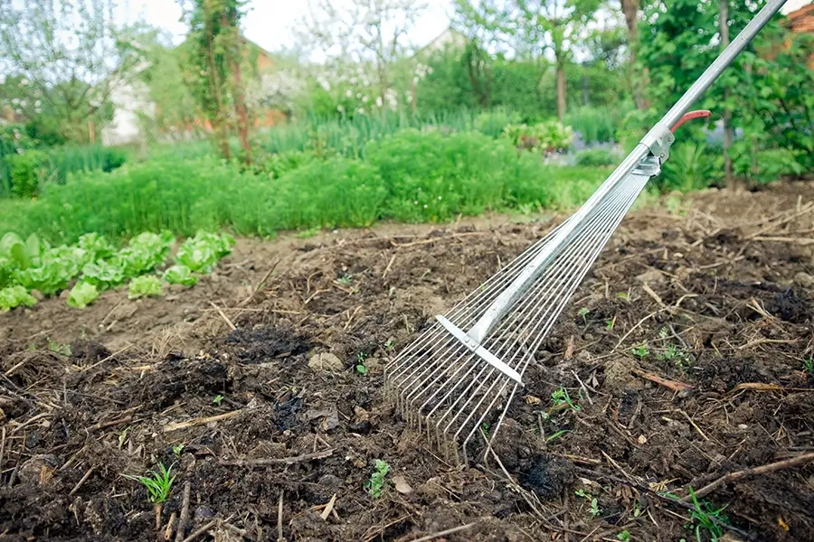 leveling soil with a rake