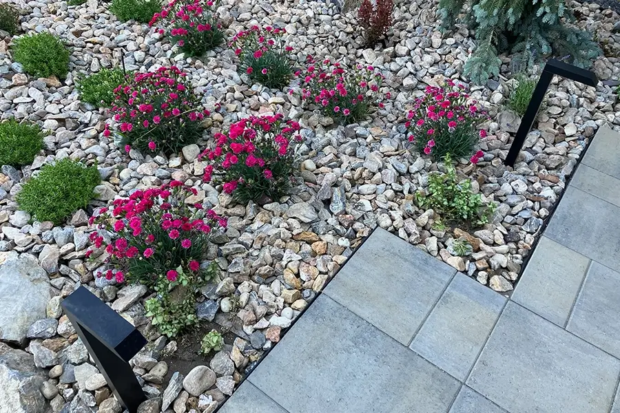 lawn adorned with flowers and stones