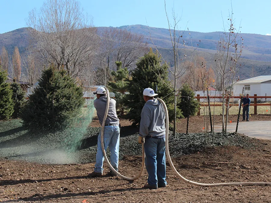 landscape professionals applying hydroseed on a residential lawn