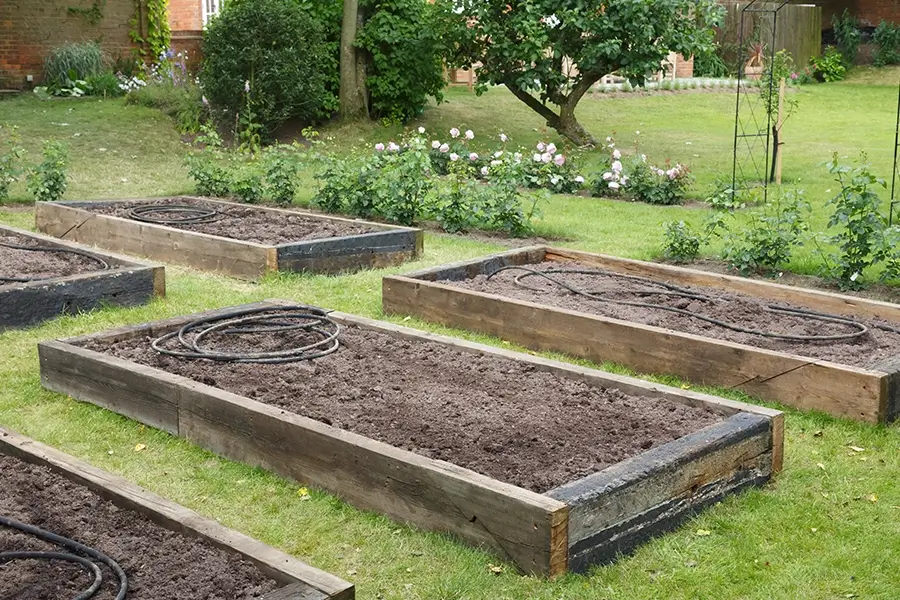 bed stocks prepared for vegetation garden