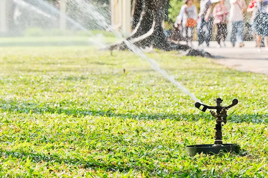 a water sprinkler irrigating the lawn