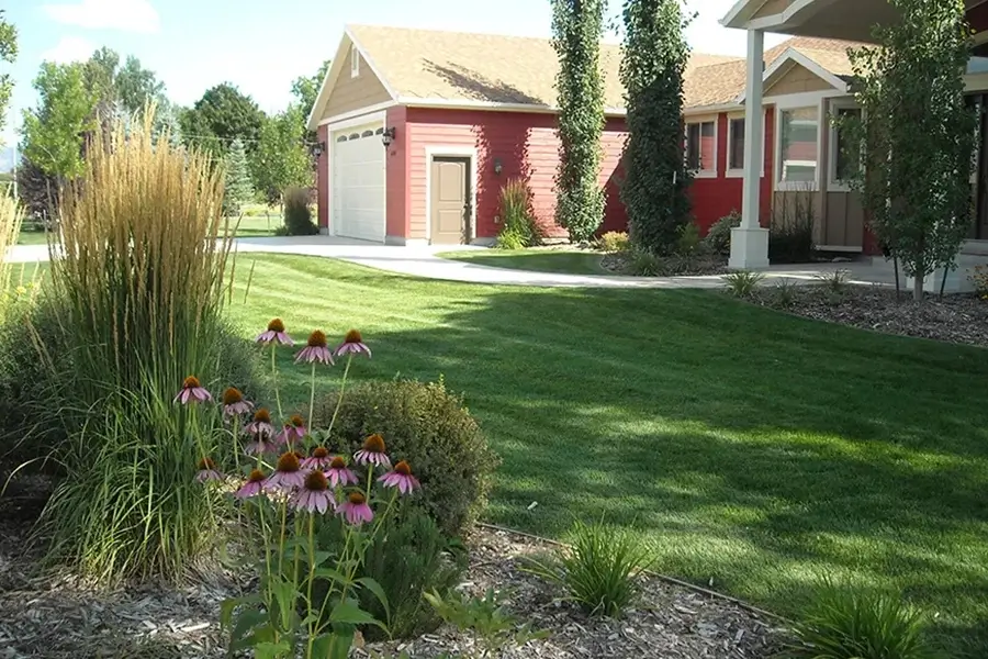 front yard featuring green lawn and vibrant grasses