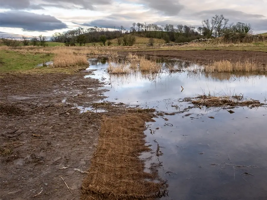 a wetland area designated for landscape restoration