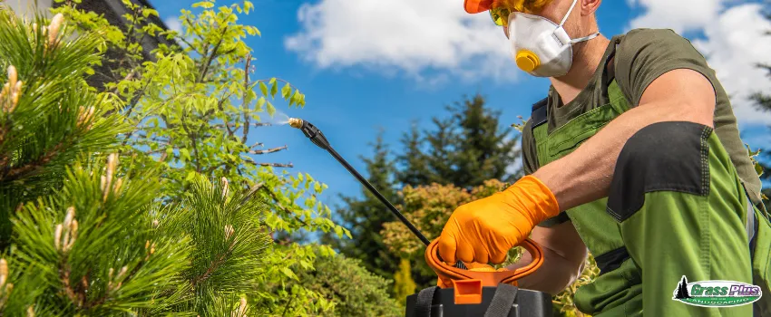 GPI - Kneeling gardener wearing protective gear spraying herbicide on plants