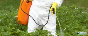 GPI - Person wearing protective gear spraying herbicide on plants