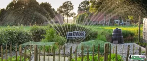 GPI - Photo of a water sprinkler irrigating a garden space