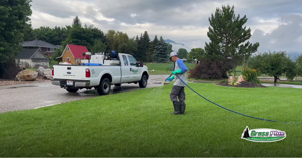 Lawn maintenance by Grass Plus, Inc.