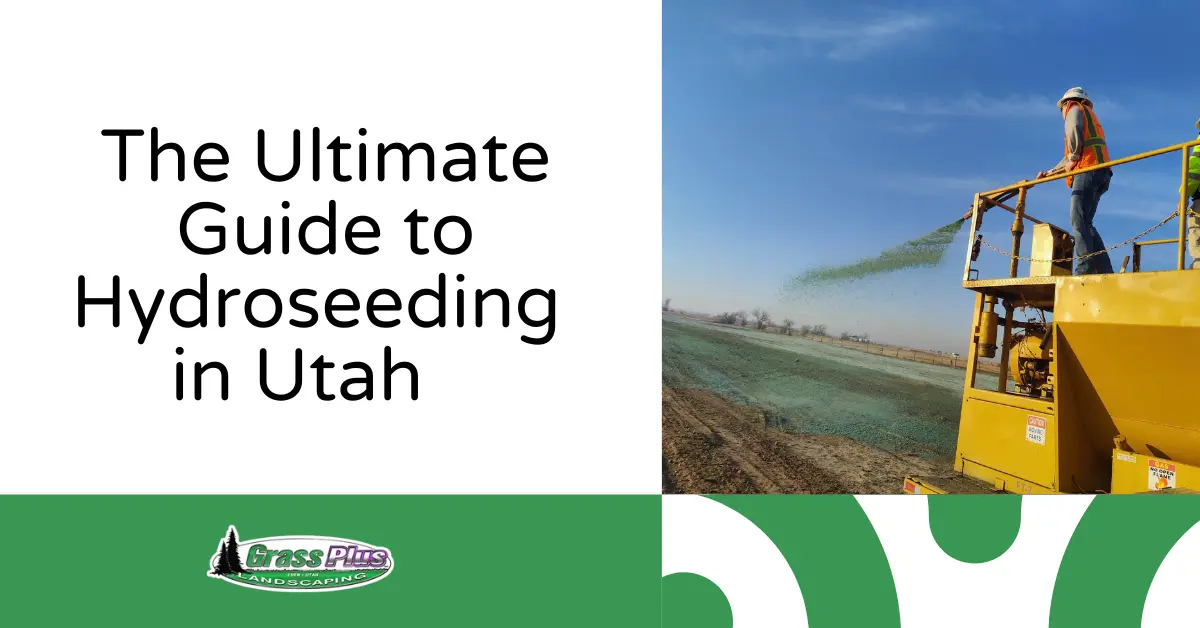 The Ultimate Guide to Hydroseeding in Utah - Grass Plus, Inc.