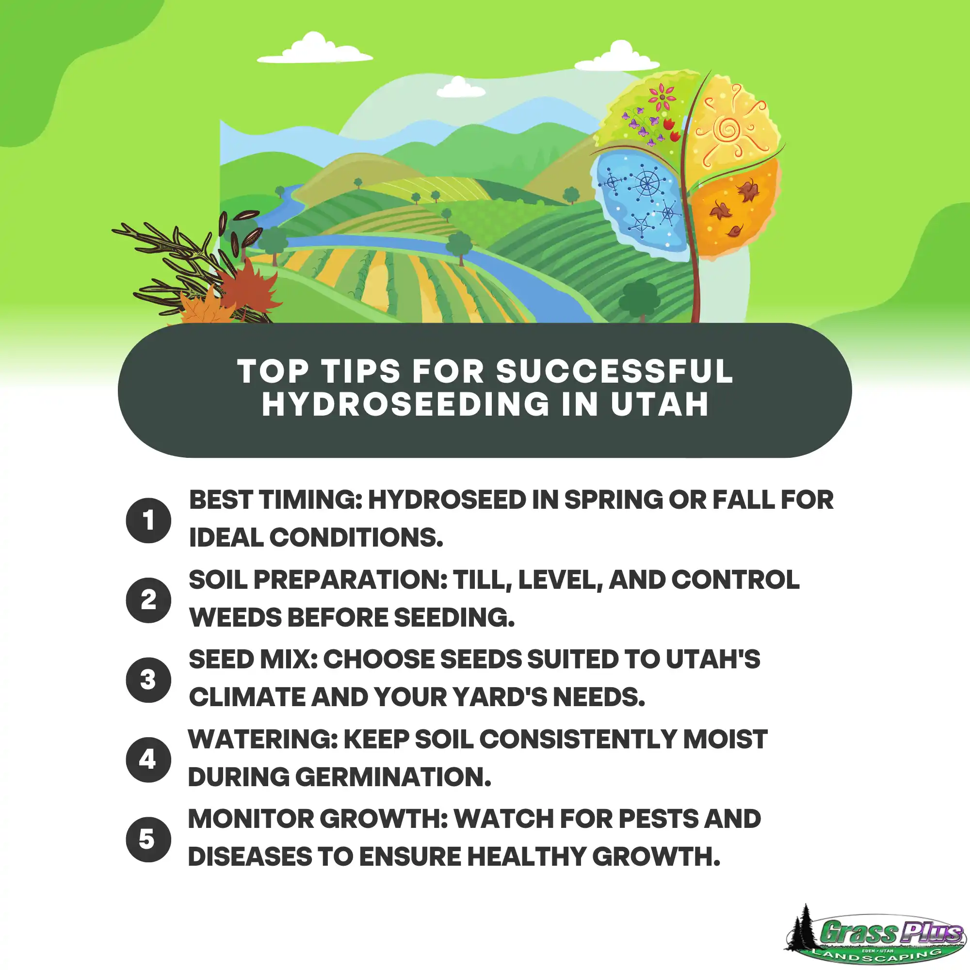 Top Tips for Successful Hydroseeding in Utah - Grass Plus, Inc.