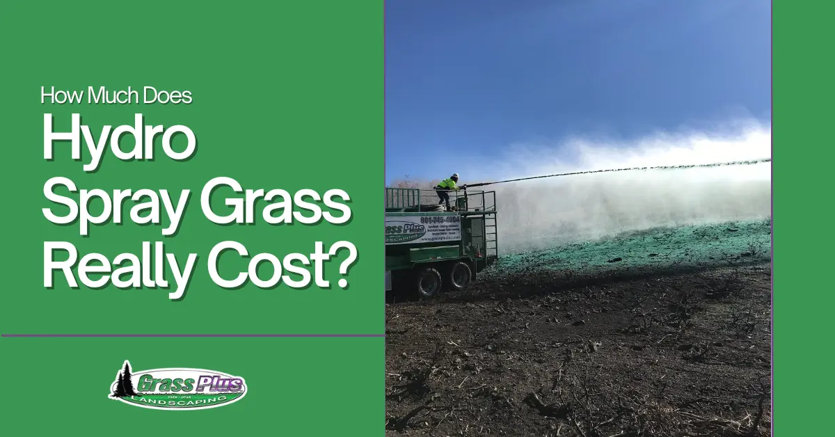 How Much Does Hydro Spray Grass Really Cost??