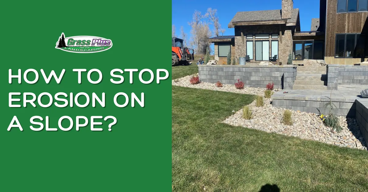 How to stop erosion on a slope - Grass Plus, Inc.