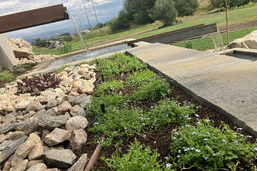 GPI-landscape-planted-with-small-plants-carousel