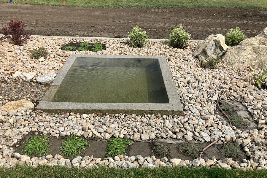 GPI-small-pond-with-plants-around