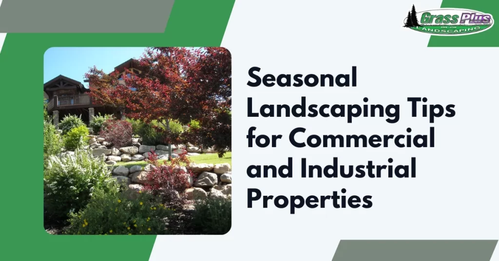 Grass Plus Inc. | Year-Round Landscaping for Property Appeal